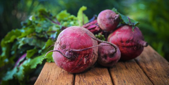 Mieux que les compléments : la betterave, un fortifiant naturel du sang