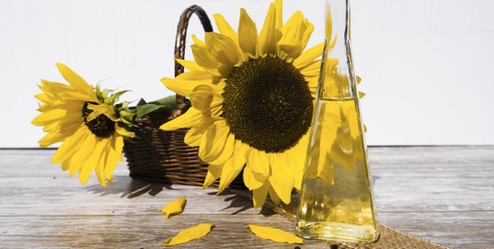 Pourquoi adopter l’huile de tournesol dans son alimentation quotidienne ?