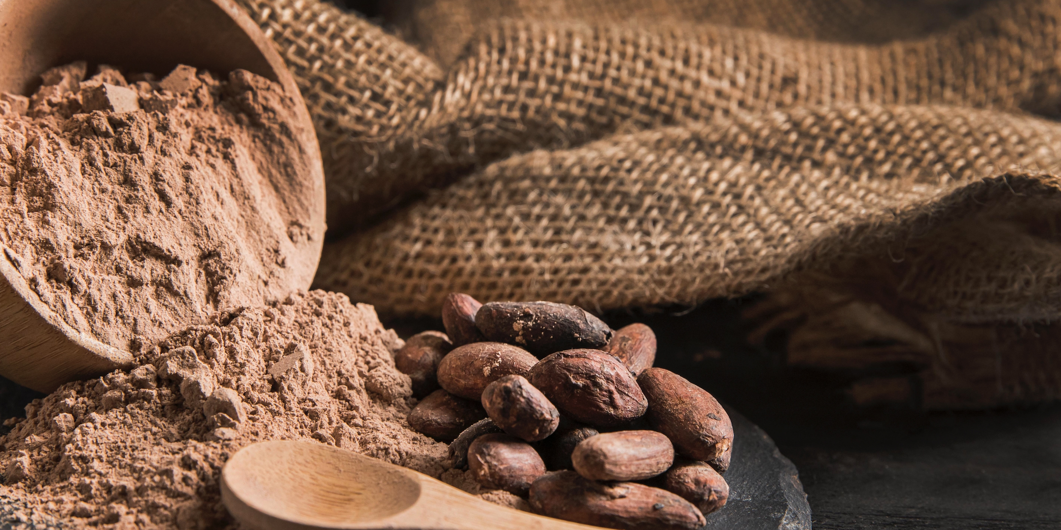 Bienfaits de la poudre de cacao : du plaisir au boost naturel de magnésium
