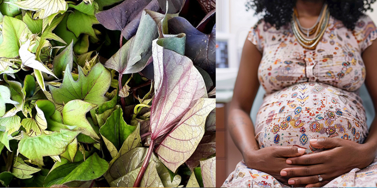 alimentation pendant la grossesse : les aliments à privilégier et ceux à éviter en Afrique