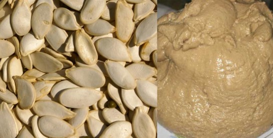 Pistache africaine : le petit trésor nutritionnel qui booste votre santé