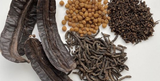 Les rituels de soin ancestraux de l’Afrique de l’Ouest : Zoom sur les ingrédients phares et les secrets de beauté transmis de mère en fille