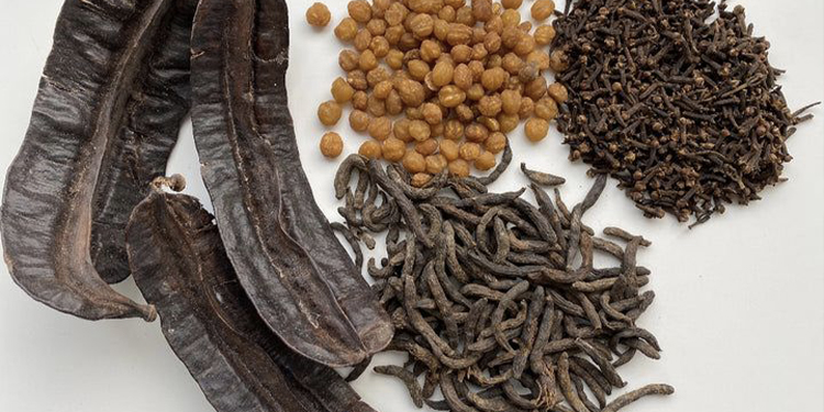 Les rituels de soin ancestraux de l’Afrique de l’Ouest : Zoom sur les ingrédients phares et les secrets de beauté transmis de mère en fille