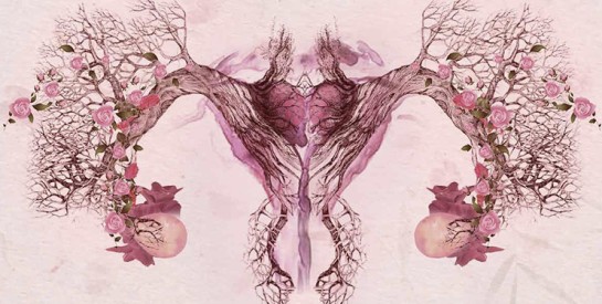 L’endométriose en Afrique : lever le tabou et améliorer la prise en charge médicale