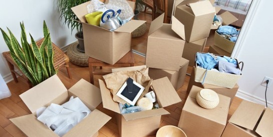 Comment organiser un déménagement international en Afrique sans stress