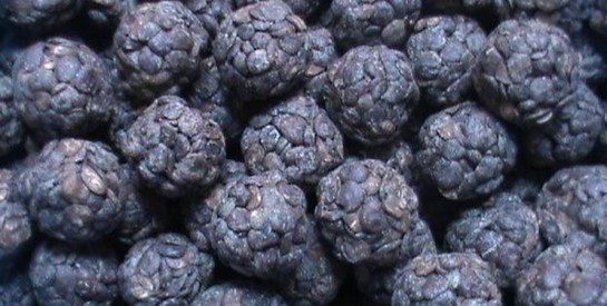 Le soumara africain : l’or fermenté de nos cuisines traditionnelles