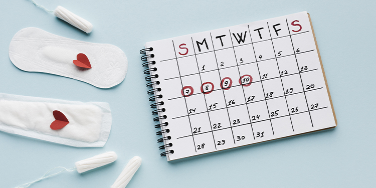 Faire la paix avec son cycle : adapter son alimentation et son bien-être à chaque phase