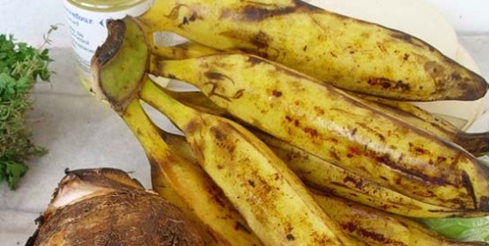 La banane plantain : une source vitaminique dans nos assiettes