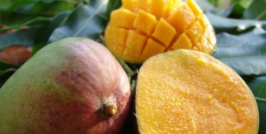 Mangue, anti-vieillissement, dépurative et tonique