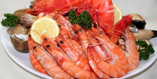 L'importance des fruits de mer dans nos assiettes
