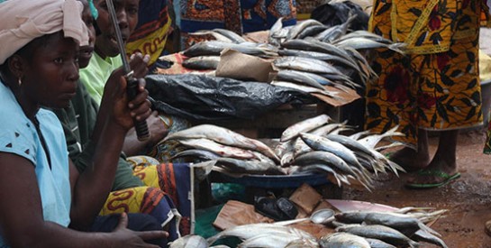 SOS pour les braves femmes du marché de poisson d’Abobo-Doumé (Abidjan)!!!