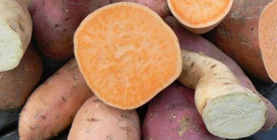 15 bonne raisons de consommer les patates douces