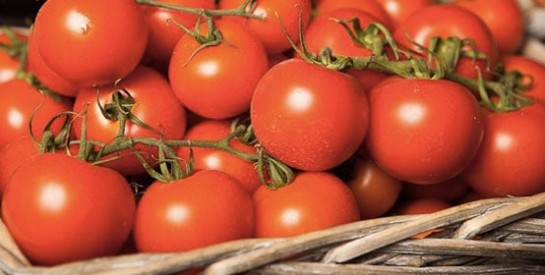 Intoxication alimentaire: attention aux tomates