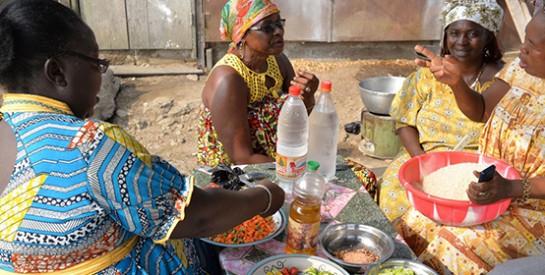 Cameroun: des ``sacs-marmites`` écolos pour remplacer le charbon et le gaz